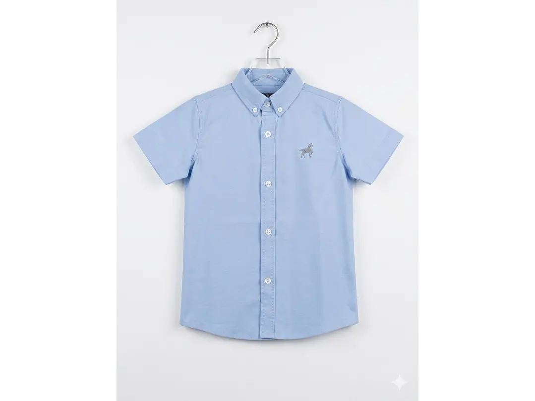 Camisa Alejandro 2