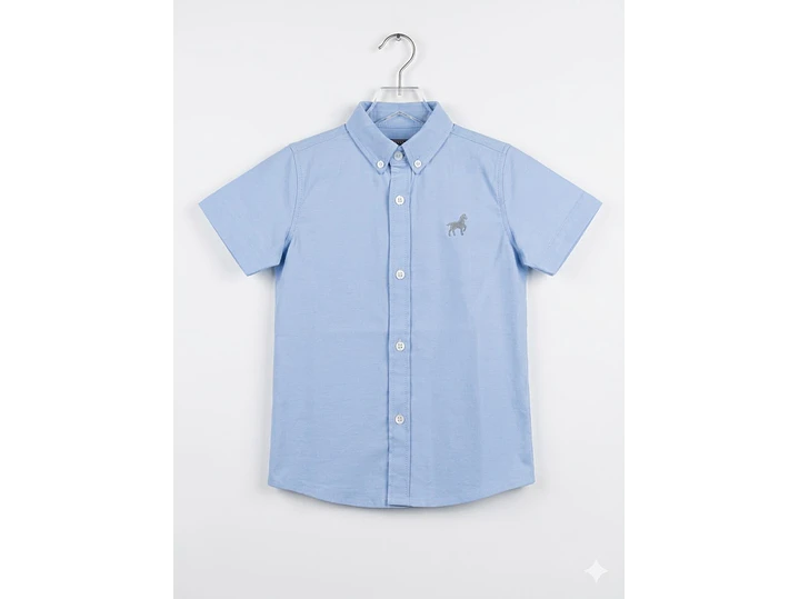 Camisa Alejandro 2