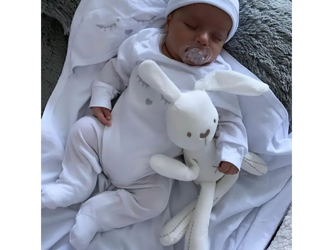 Kit De Conejo 1
