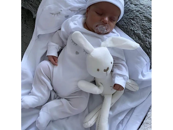 Kit De Conejo 1
