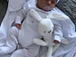 Kit De Conejo - Miniatura 1