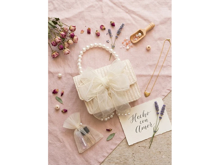 Bolso Coquet 1