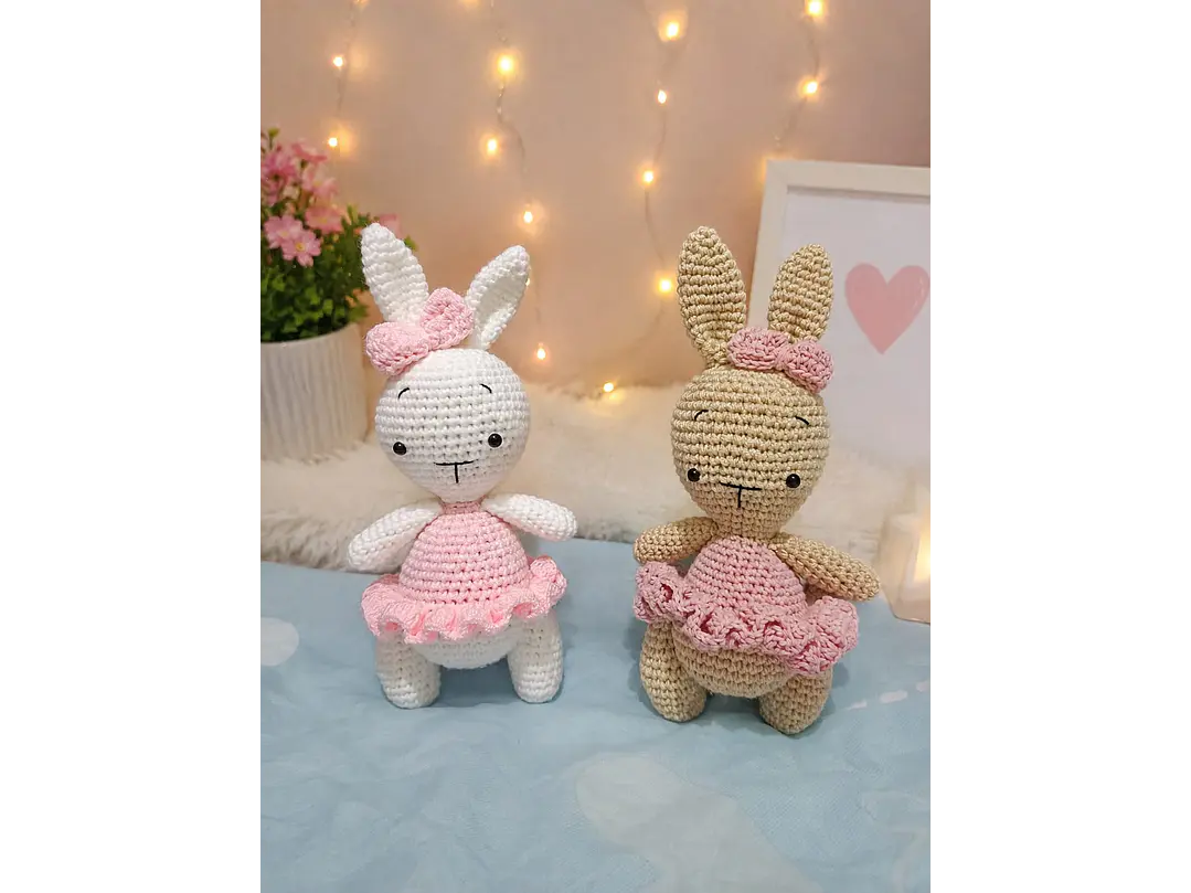 Amigurui Coneja 1