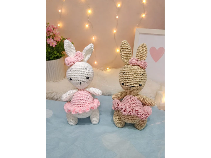 Amigurui Coneja 1