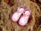 Sandalia S10341 fucsia Multi Gliter - Miniatura 3