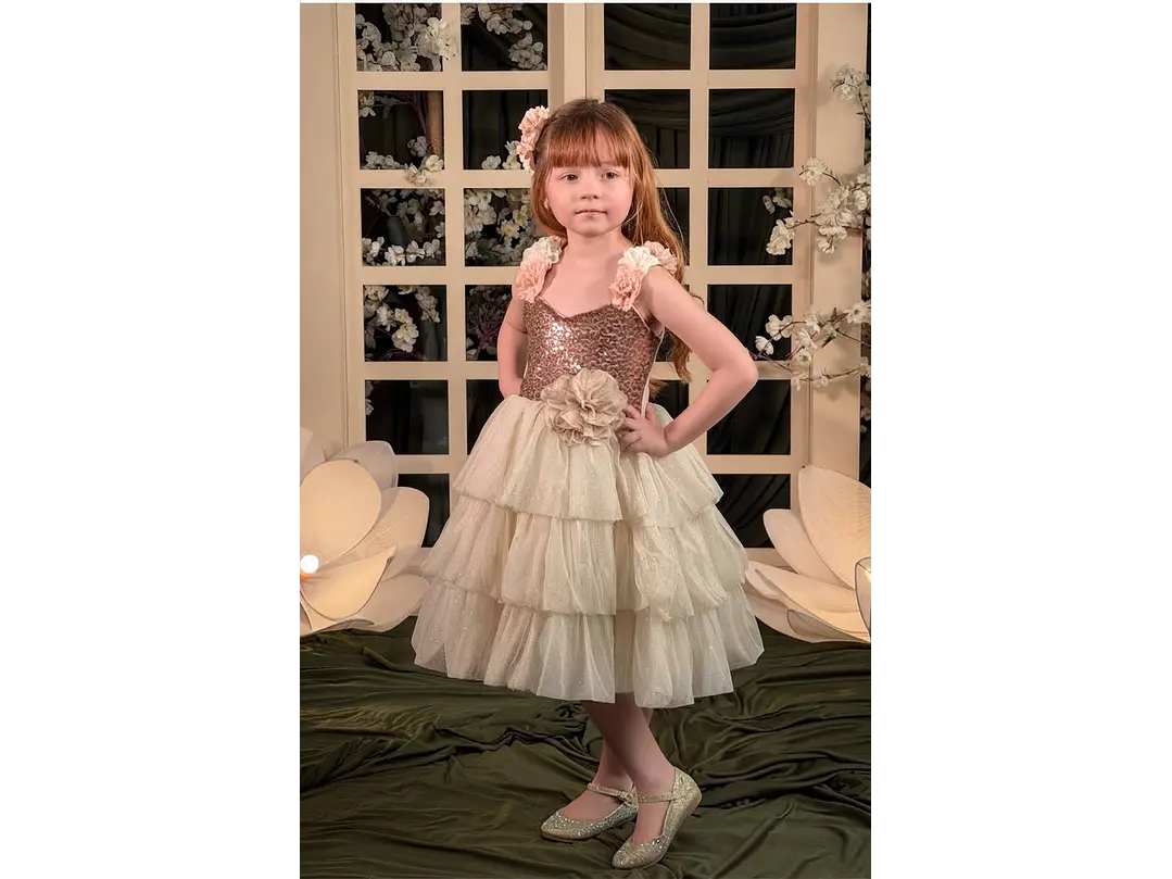Vestido Valiente 1