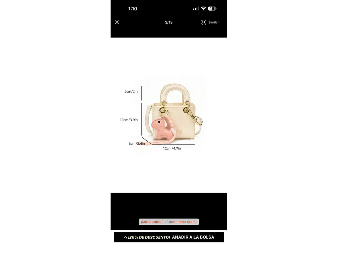 Bolso 6