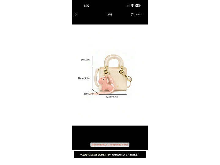 Bolso 6