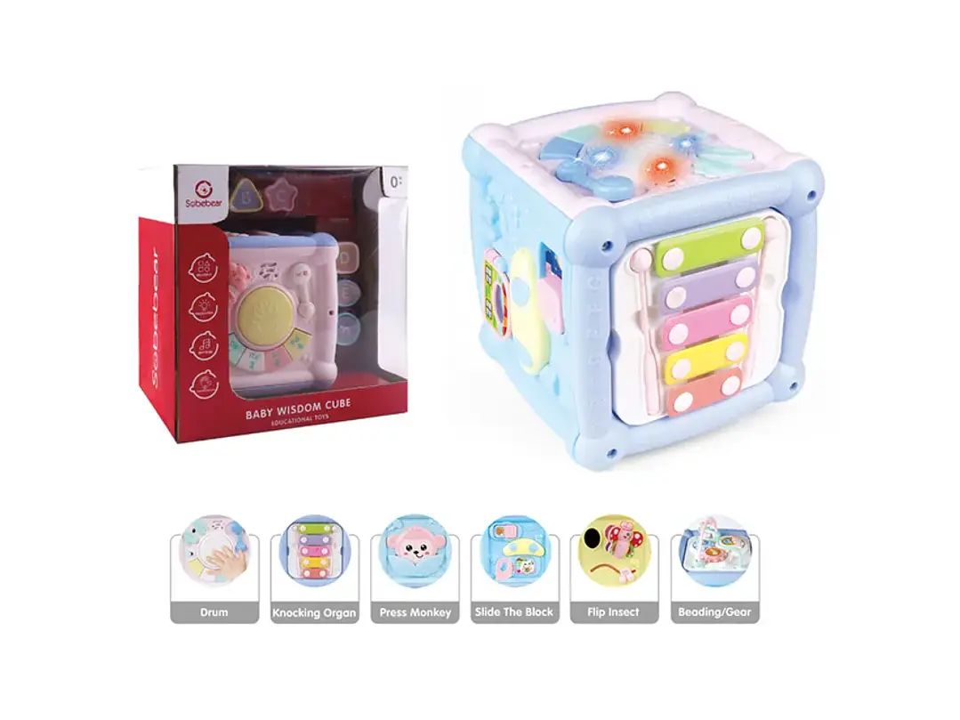 Cubo Didactico 1
