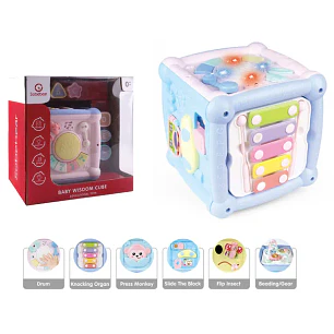 Cubo Didactico