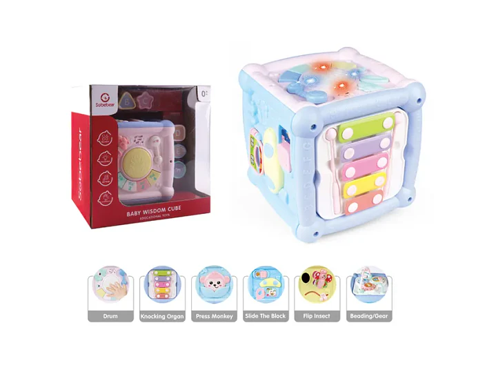 Cubo Didactico 1