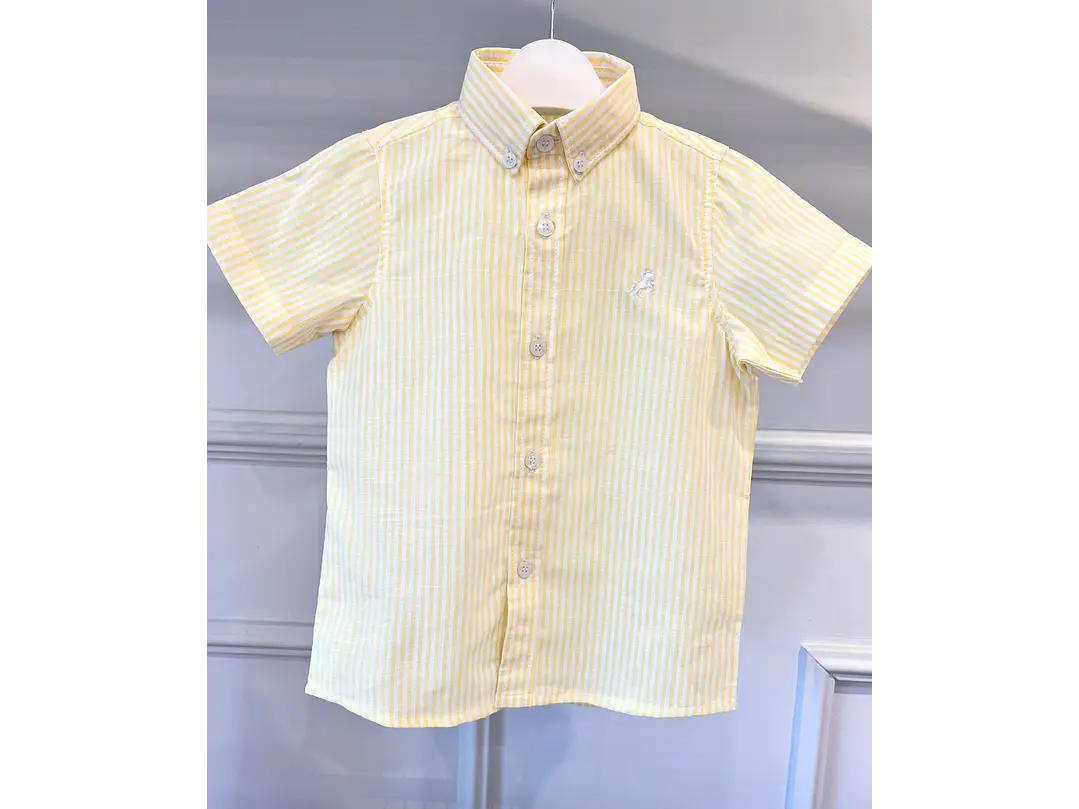 Camisa PyPunto  1