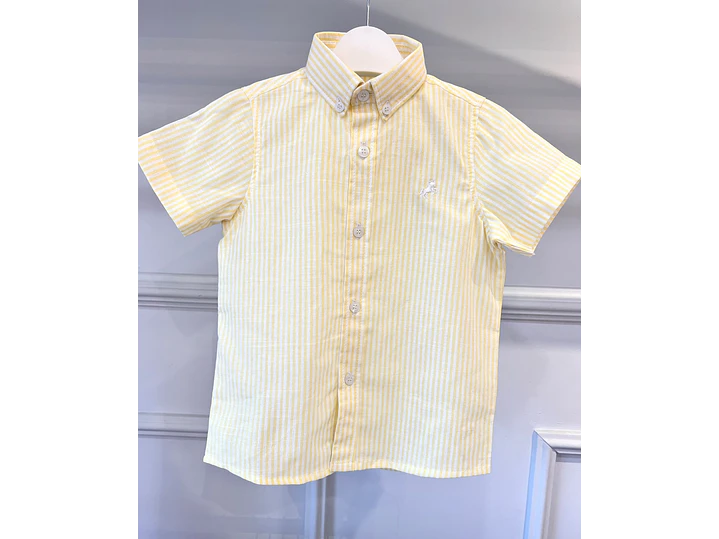 Camisa PyPunto  1
