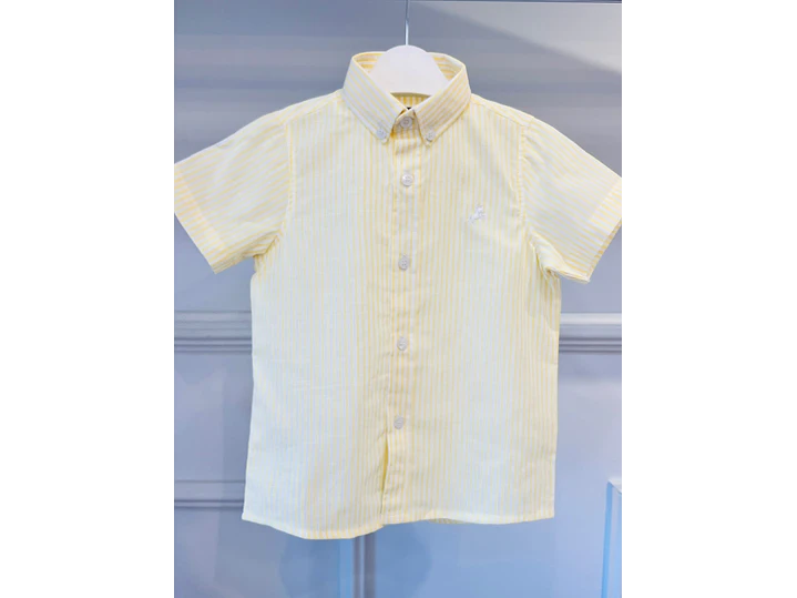 Camisa PyPunto  2