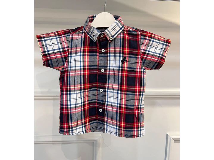 Camisa PyPunto 1