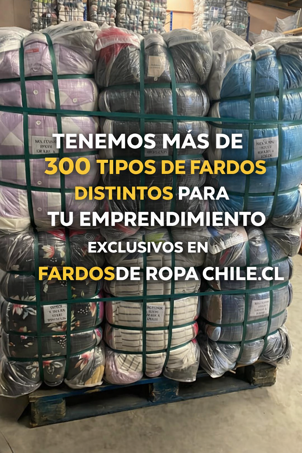 FARDO SHORT SEXY PREMIUM 45 KG 2