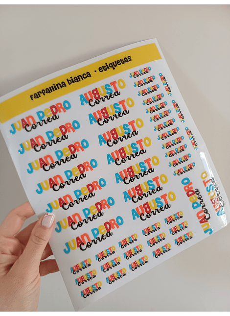 40 ETIQUETAS RELIEVE GRANDES / CHICAS