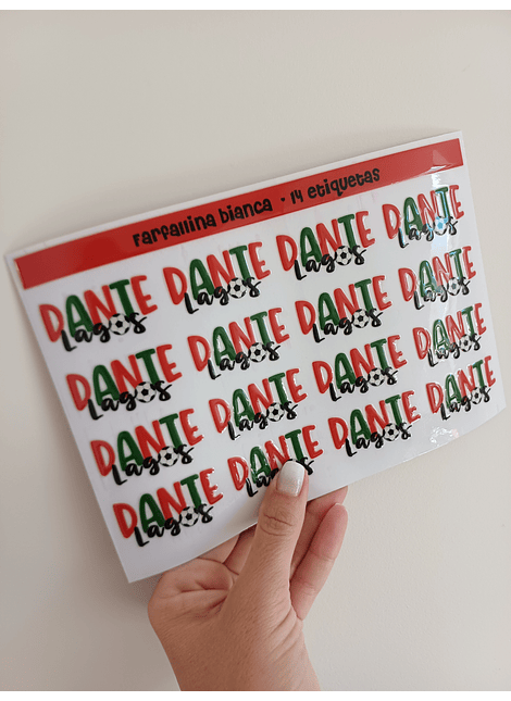 14 ETIQUETAS CON RELIEVE multicolor GRANDES