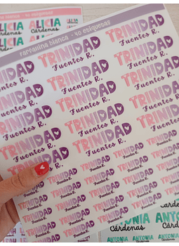 40 ETIQUETAS RELIEVE GRANDES / CHICAS