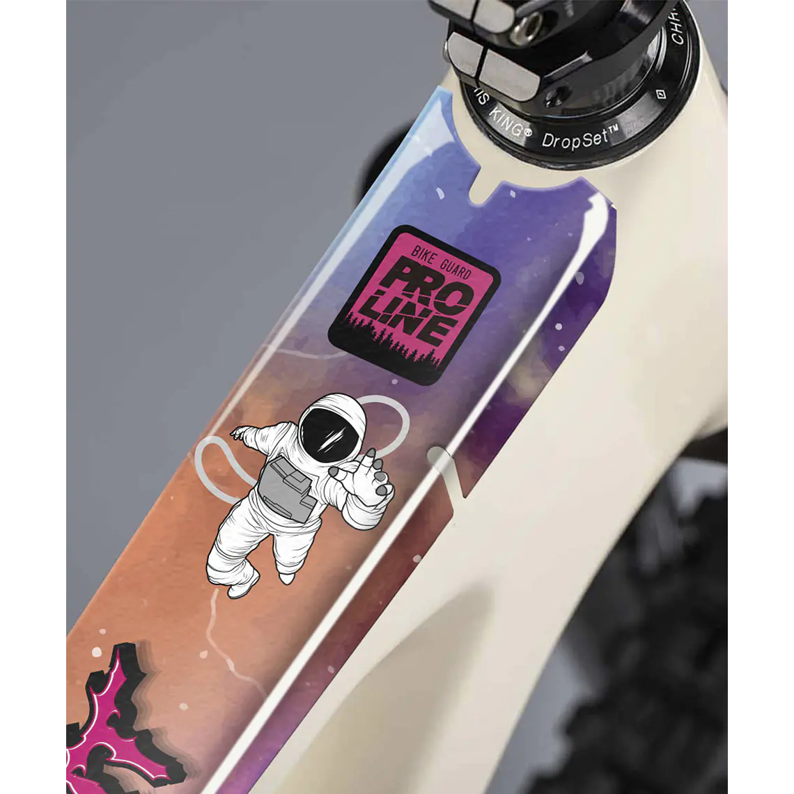 PROLINE BIKE GUARD SPACE 1