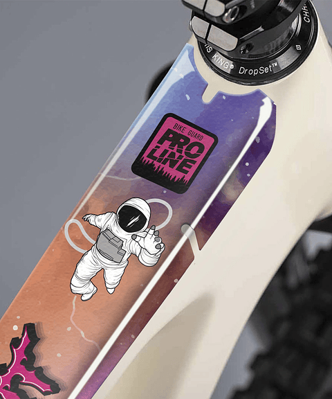 PROLINE BIKE GUARD SPACE