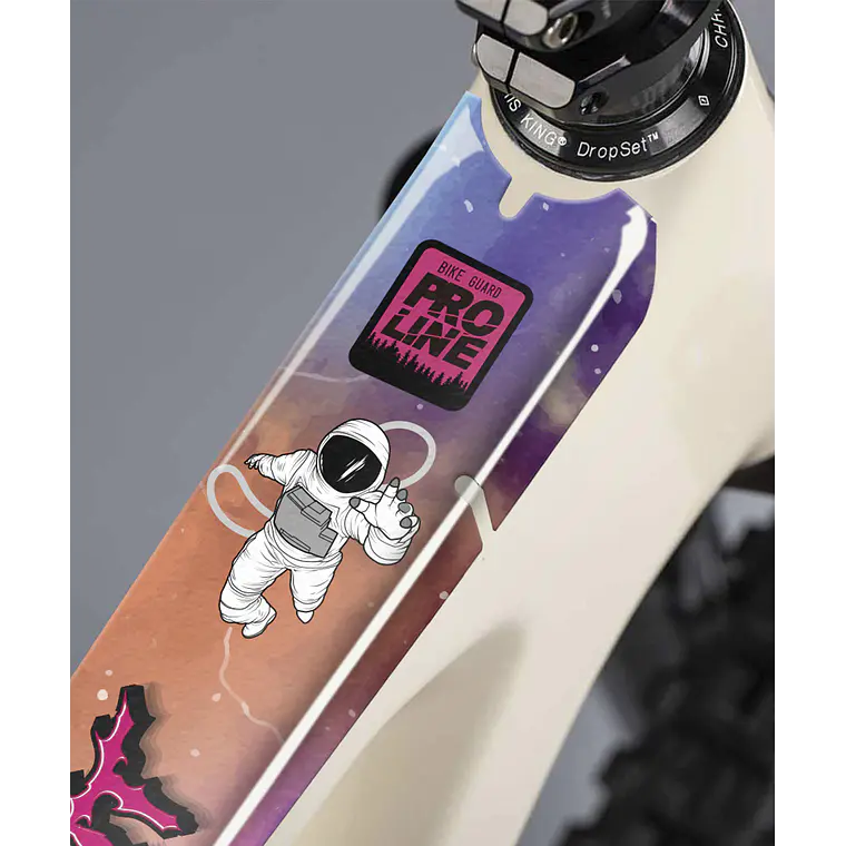PROLINE BIKE GUARD SPACE 1