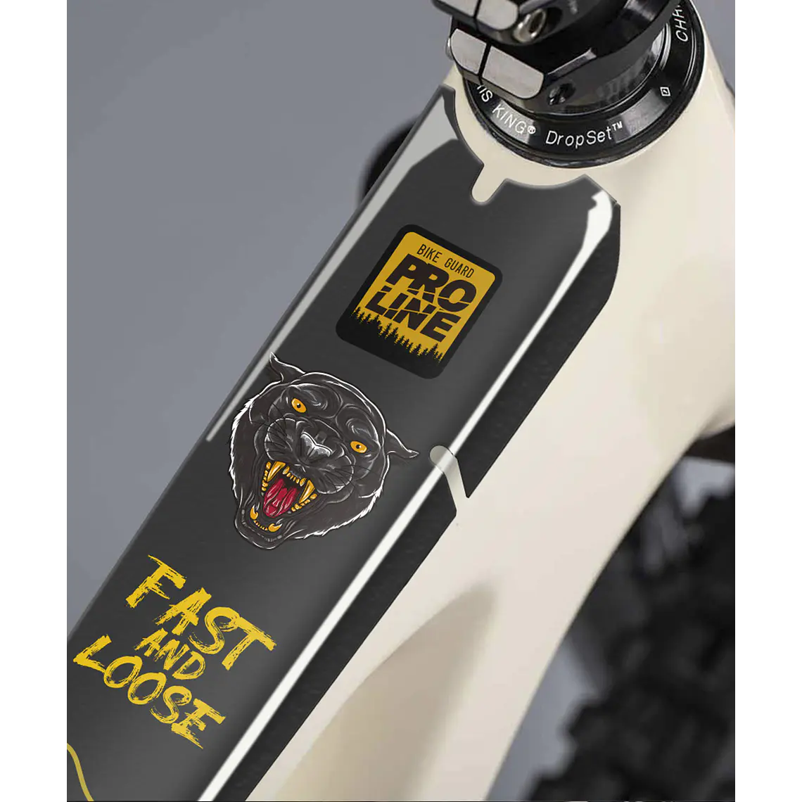 PROLINE BIKE GUARD PANTERA 1