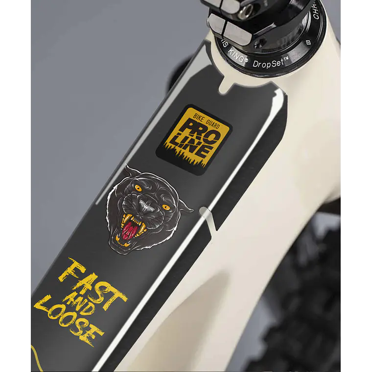 PROLINE BIKE GUARD PANTERA 1