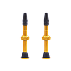 PROLINE - VALVULAS TUBELESS 44mm 5