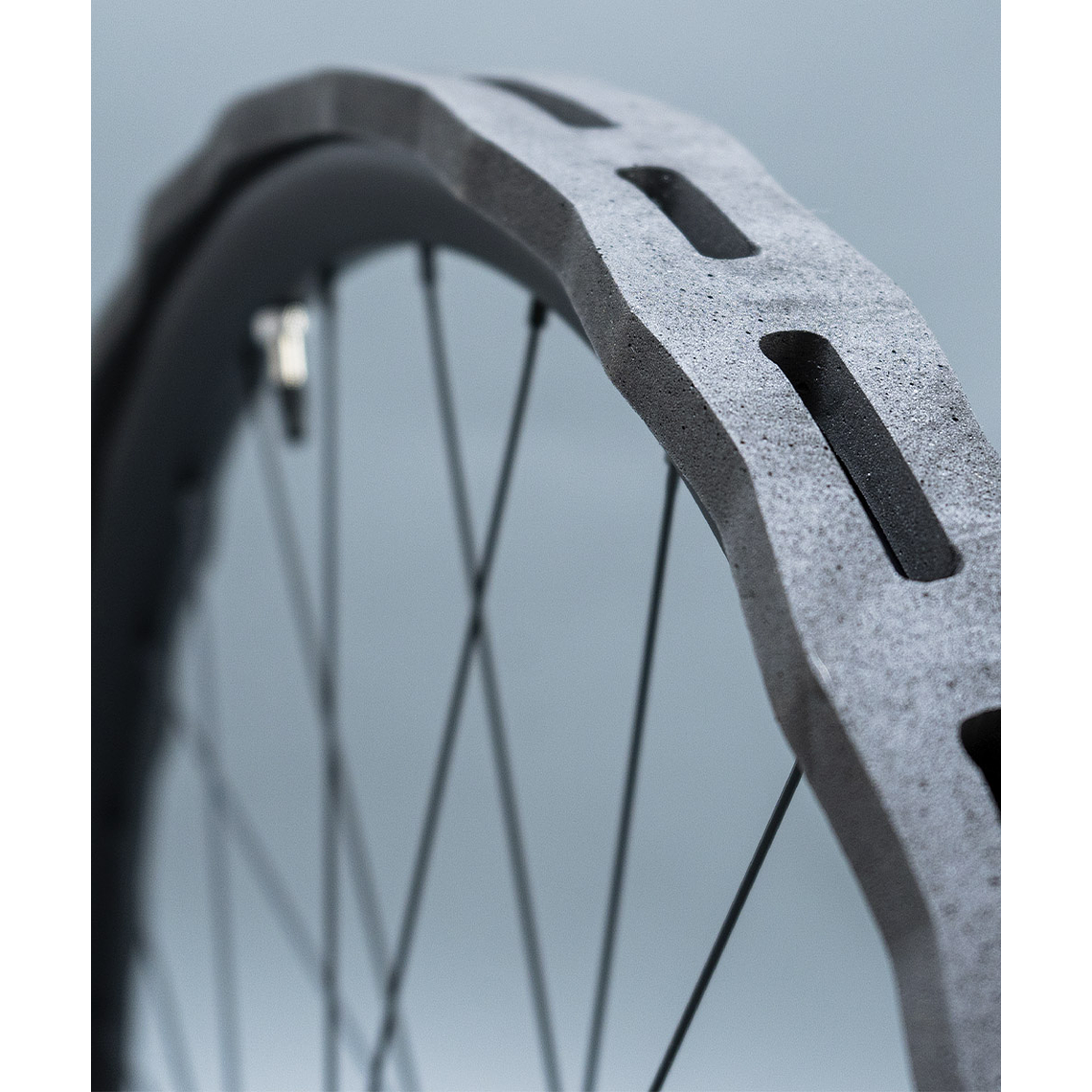 PROTECTOR DE LLANTA PROLINE RIM GUARD 2