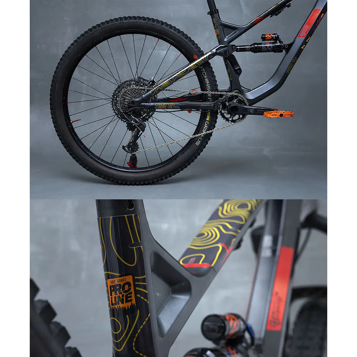 PROLINE BIKE GUARD PANTERA 7
