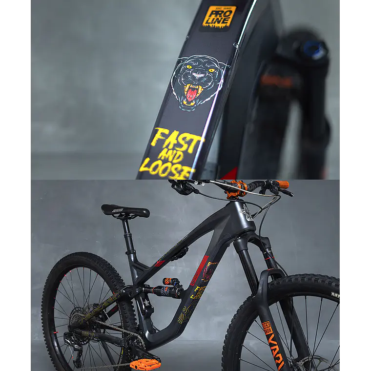 PROLINE BIKE GUARD PANTERA 8