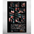PROLINE FORK DECALS - RS PIKE 2021 7