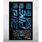 PROLINE FORK DECALS - RS PIKE 2021 9