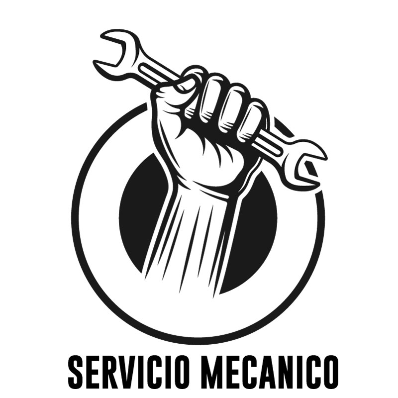 TALLER - Sangrado de Frenos