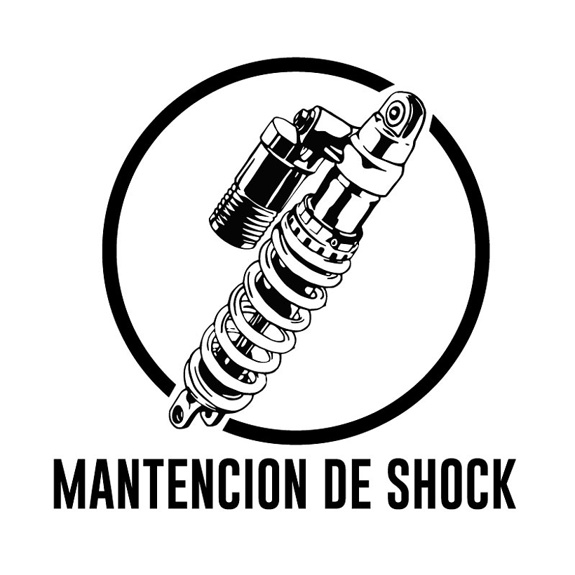 TALLER - Mantencion Basico Shock
