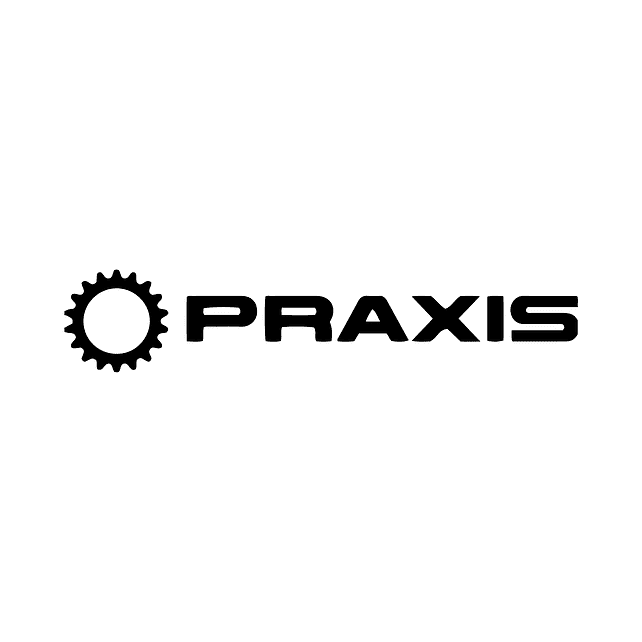 Praxis