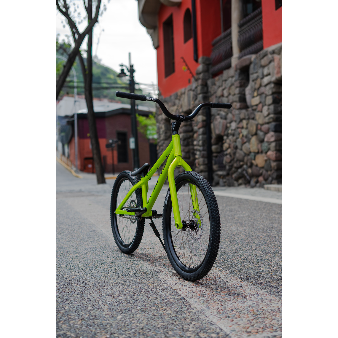 BICICLETA EXTENTION Street Trial 24