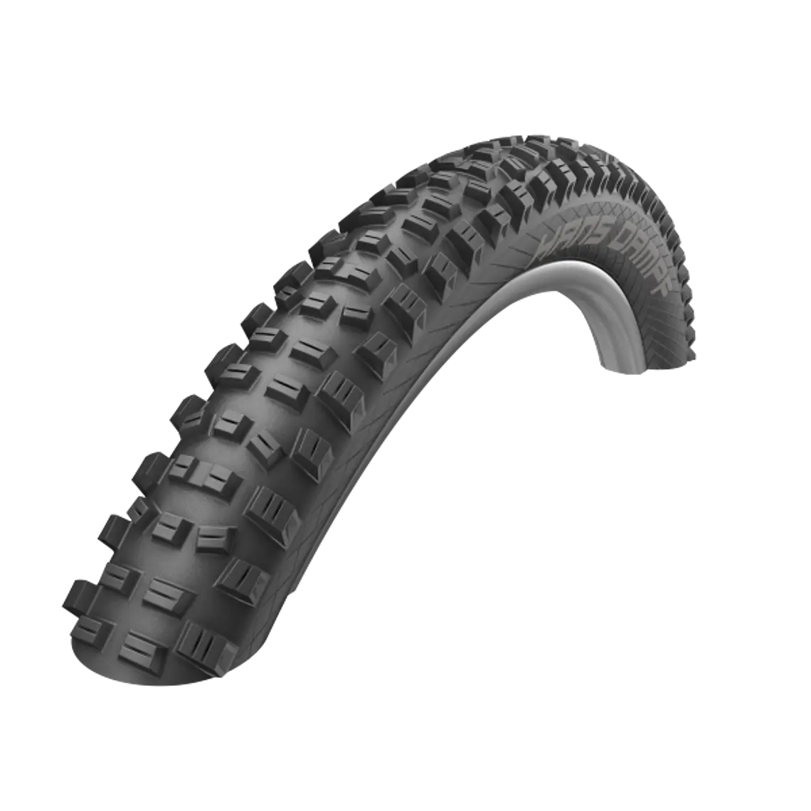 SCHWALBE HANS DAMPF TWINSKIN ADDIX 1