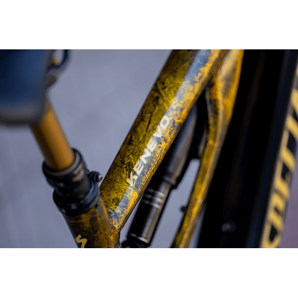 EBIKE SPECIALIZED KENEVO [talla S2] 4