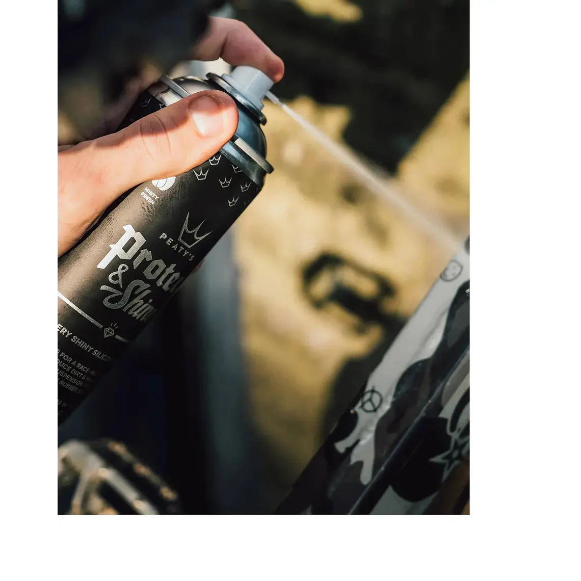 SPRAY PEATY'S PROTECT AND SHINE 2
