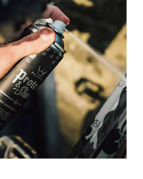 SPRAY PEATY'S PROTECT AND SHINE