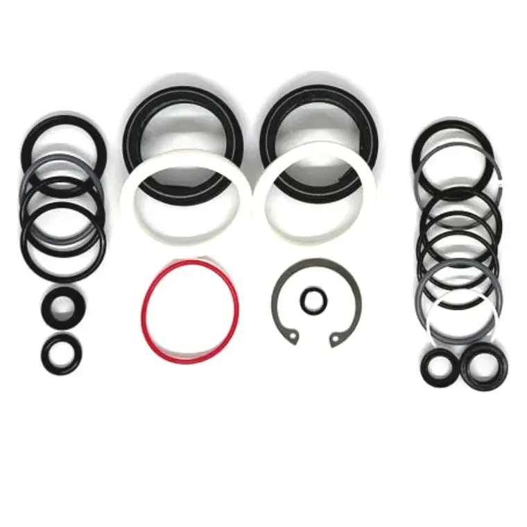 Kit RockShox Servicio 200H Domain C 1