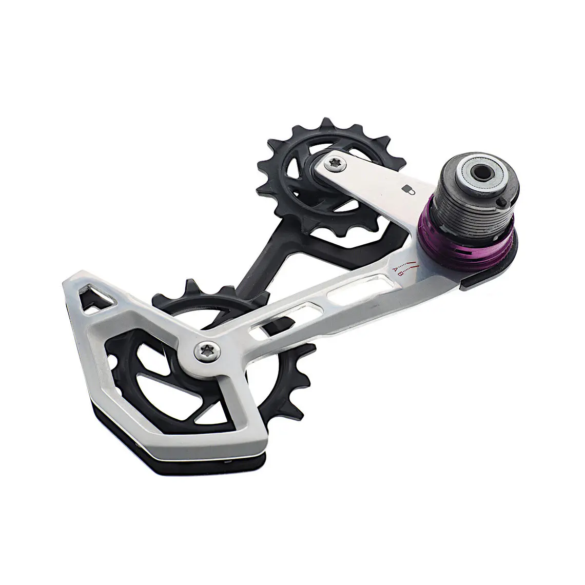 Jaula SRAM Cambio Eagle XX B1 T-Type AXS 1
