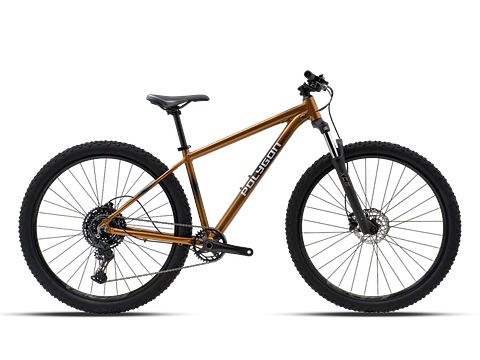 Bicicleta Mtb Polygon Cascade 5 Brown