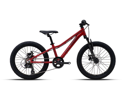 Bicicleta Niño Polygon Relic20 20X10 Roja