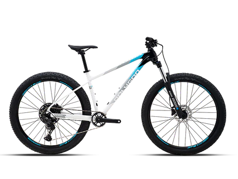 Bicicleta Polygon Xtrada 5 Wht/Blk