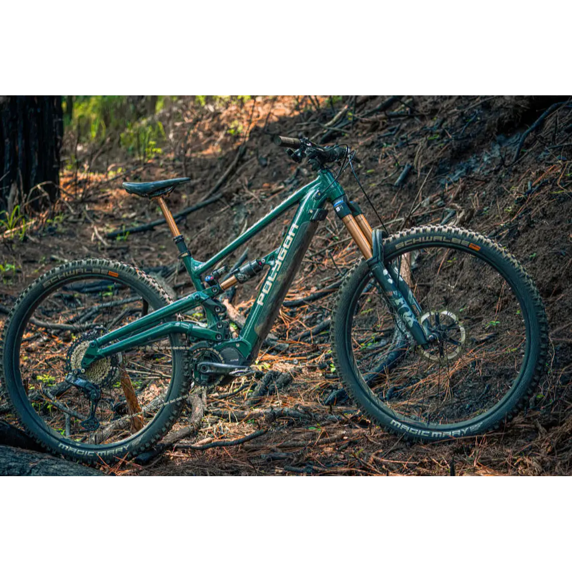 Bicicleta Electrica Polygon Collosus N8Xe Green 9
