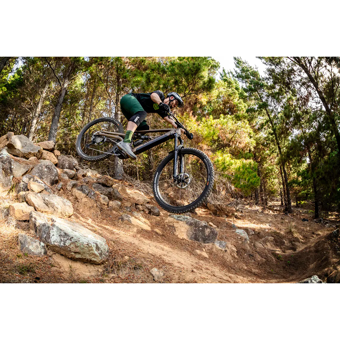 Bicicleta Electrica Polygon Collosus N8E Brown 8