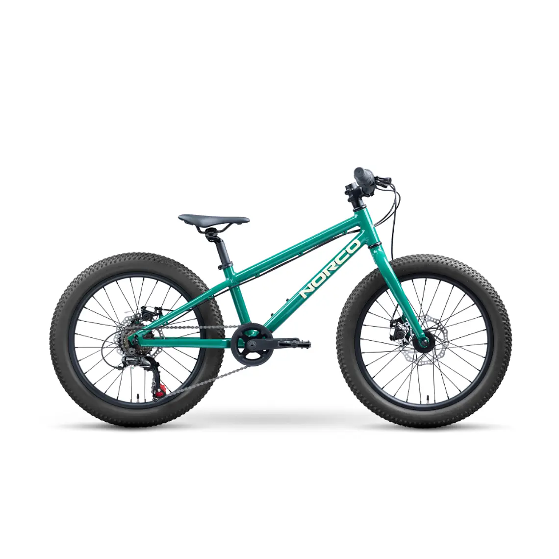 Bicicleta Niño Storm 20 Disc Verde Norco 1